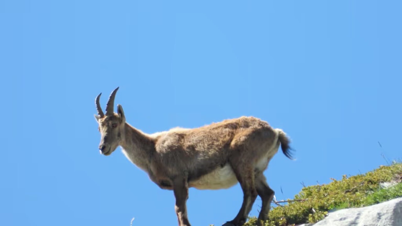 Photo of Others in Vassieux-en-Vercors
