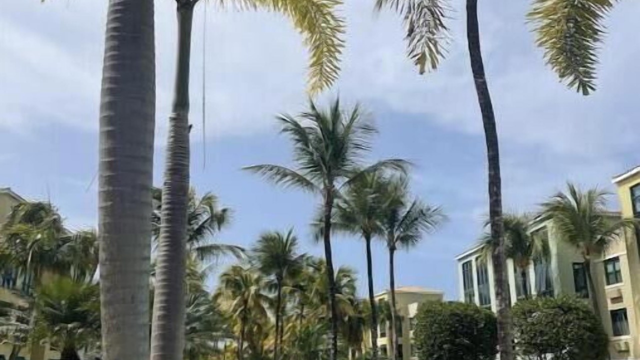 Photo of Outdoor in Mediania Baja