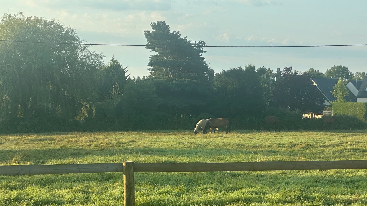 Photo of Others in Gonneville-en-Auge