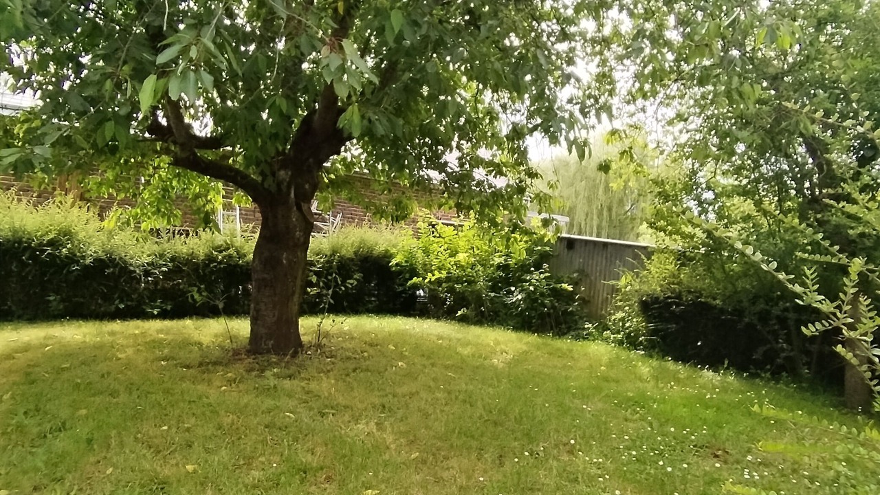 Photo of Outdoor in Lunay