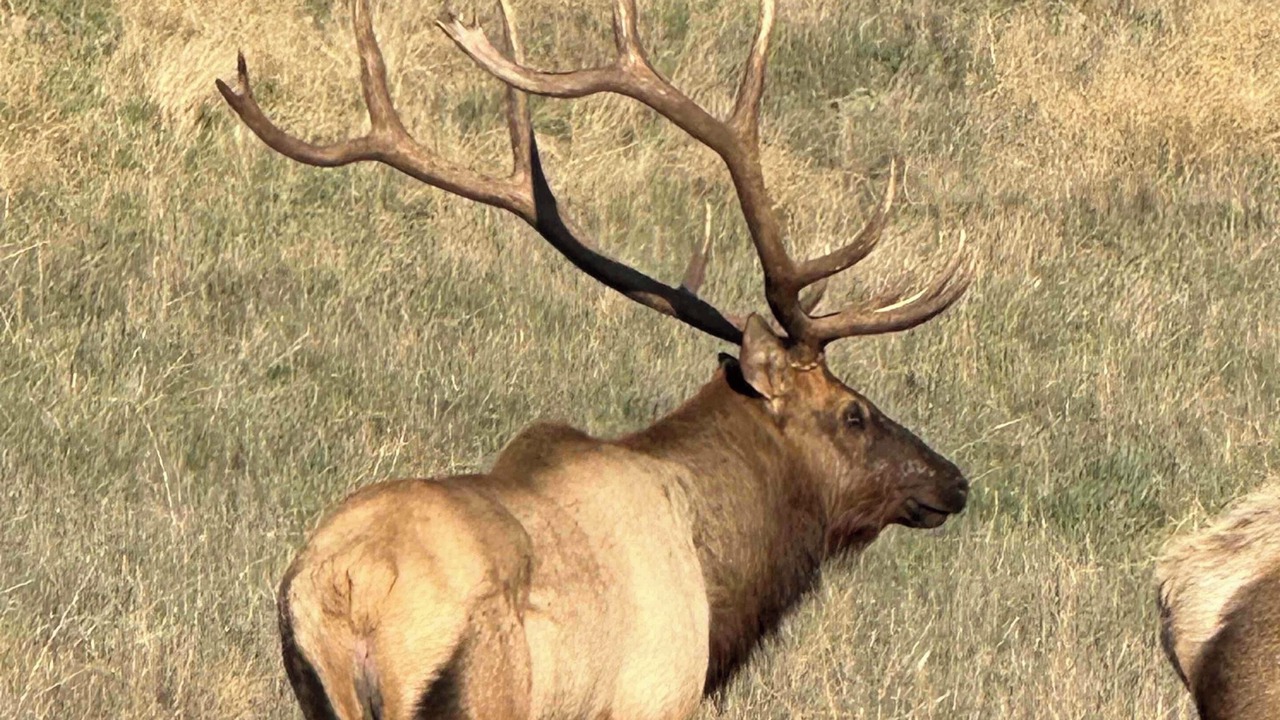 Photo of Others in Stallion Springs