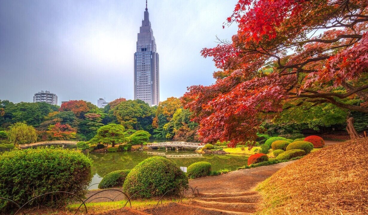 Photo of Outdoor in Nishi-Shinjuku