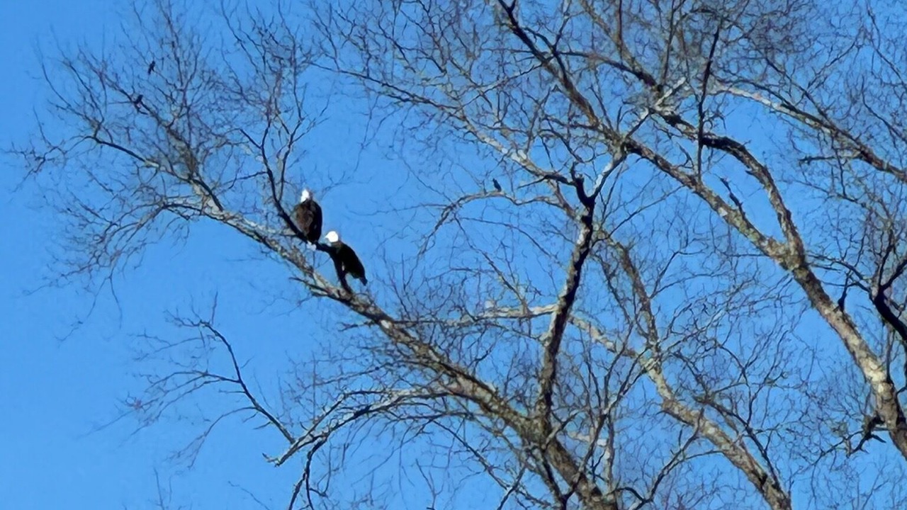 Photo of Others in Granville Summit