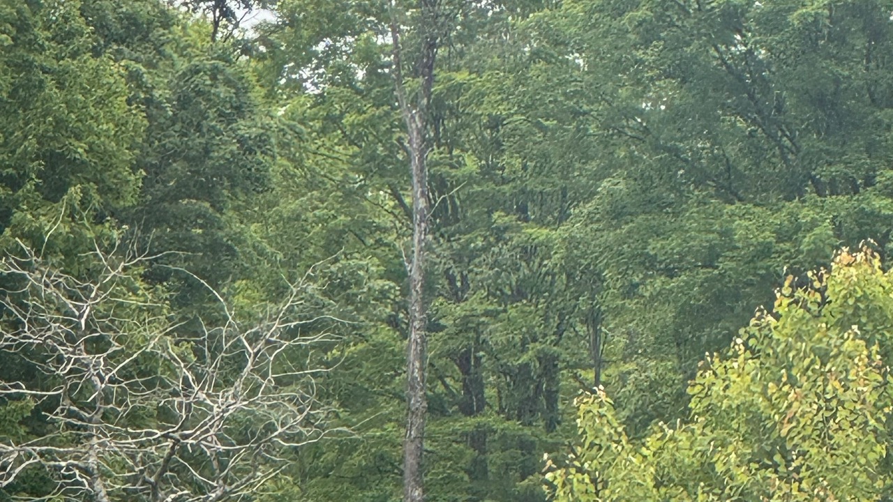 Photo of Others in Granville Summit