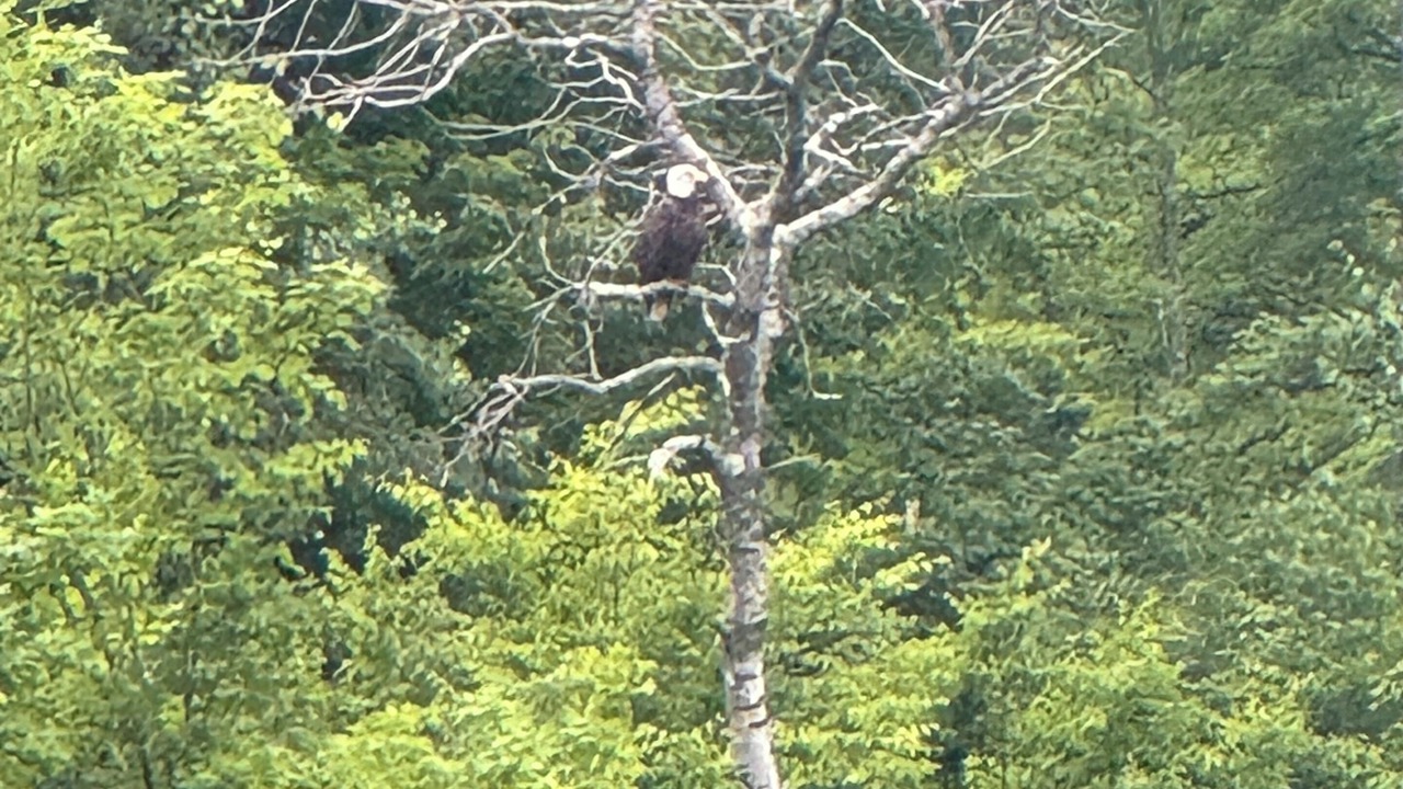 Photo of Others in Granville Summit