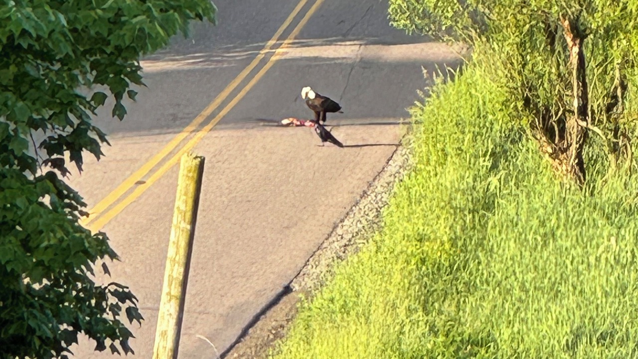 Photo of Others in Granville Summit