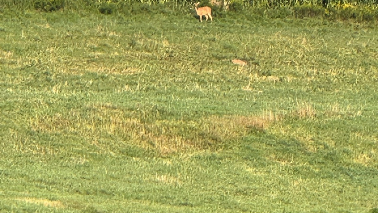 Photo of Others in Granville Summit