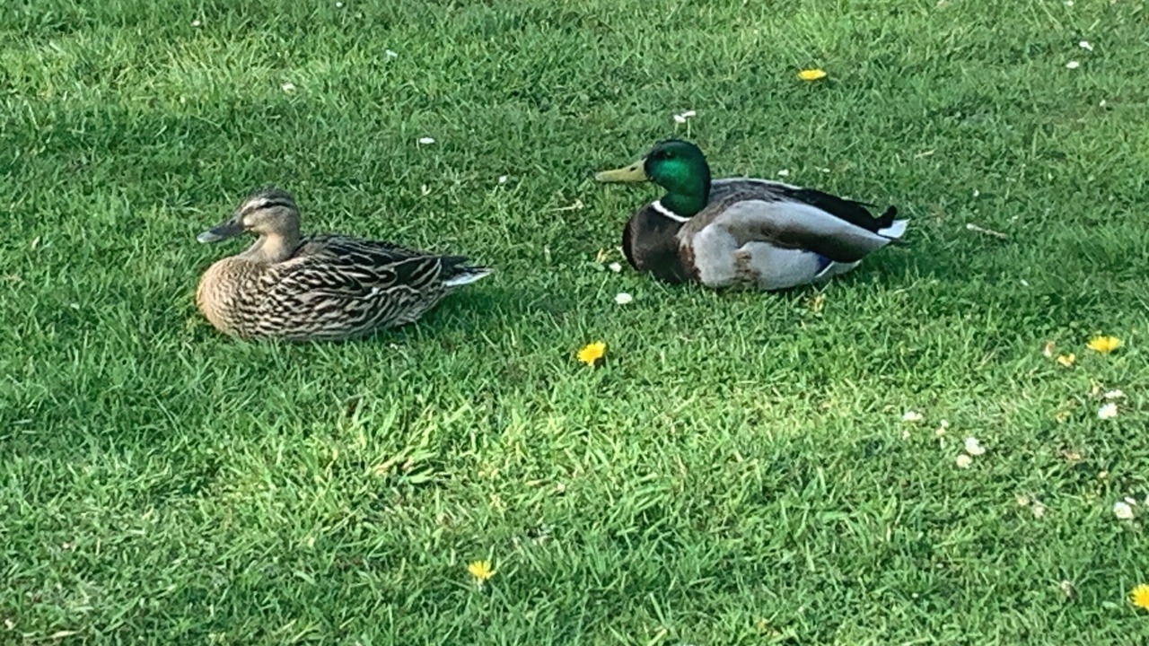 Photo of Others in Coventry