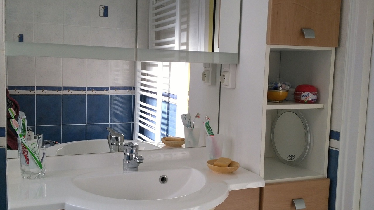 Photo of Bathroom in Pont du Cens-Cote d'Or