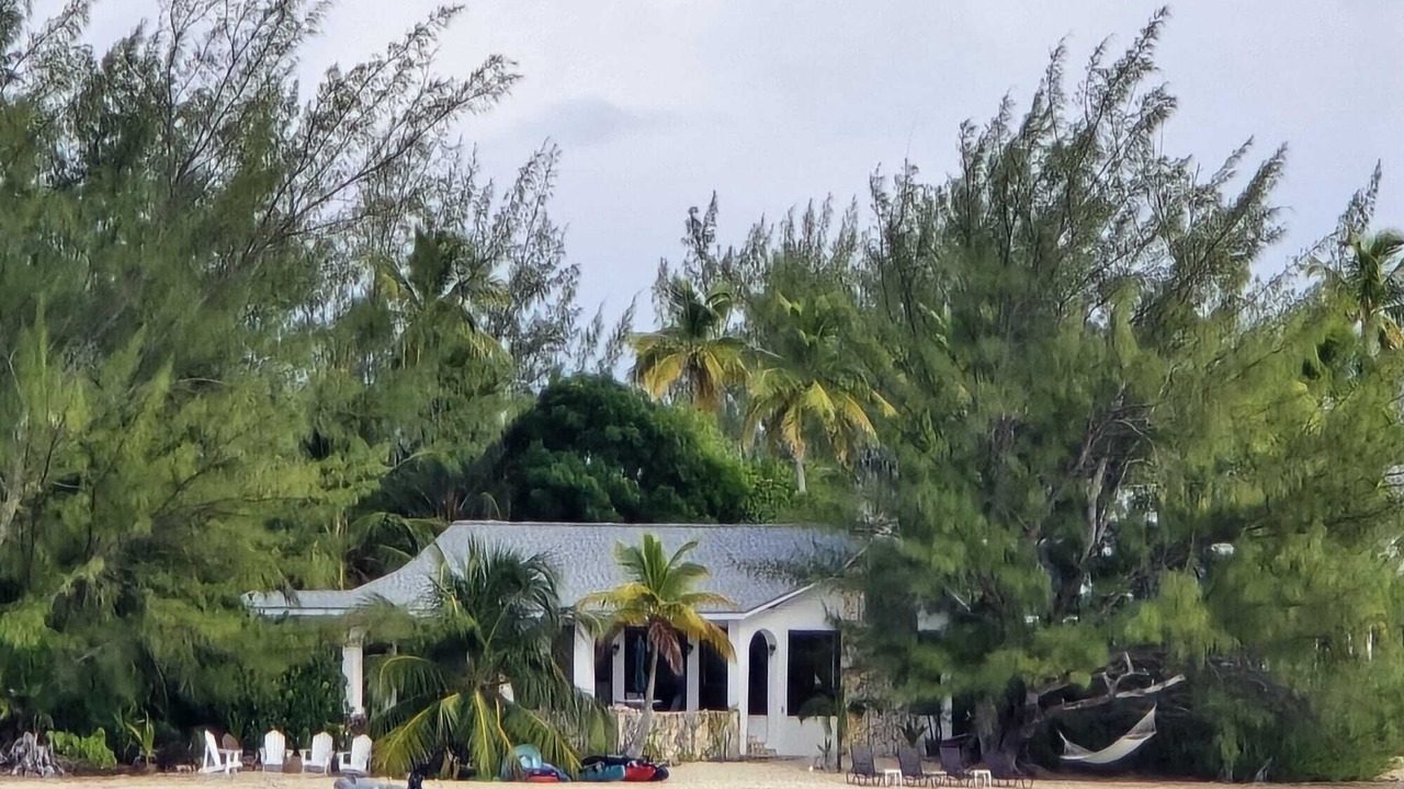 Photo of Others in New Bight