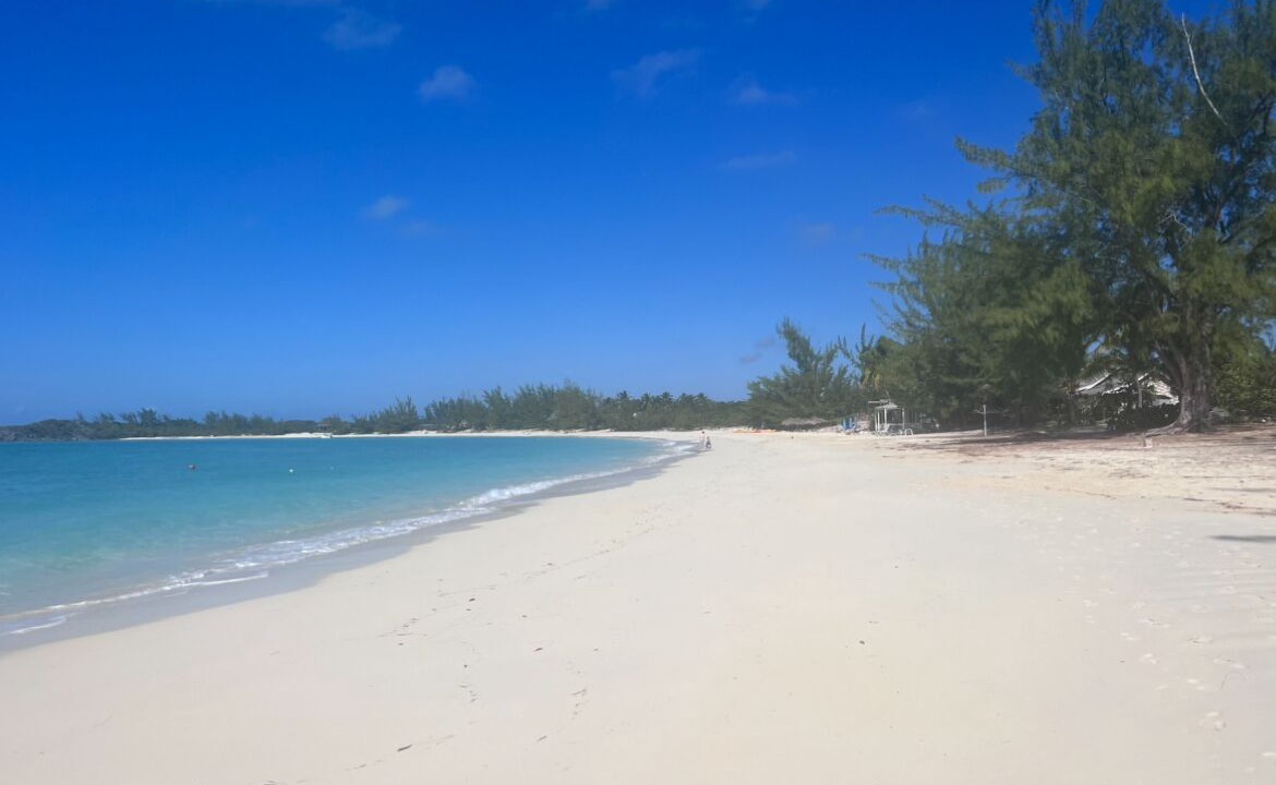 Photo of Others in New Bight
