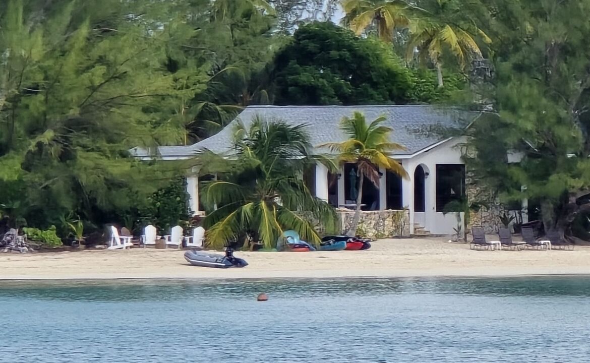 Photo of Others in New Bight