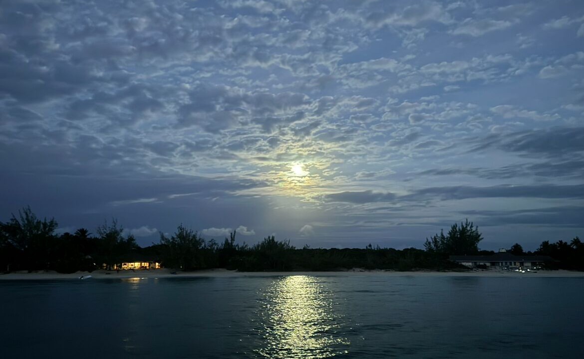 Photo of Others in New Bight