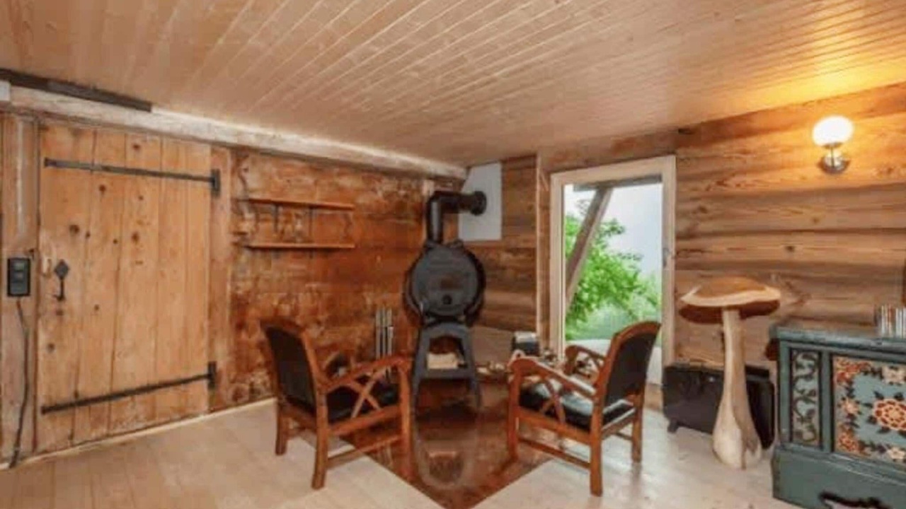 Photo of Livingroom in Rossiniere