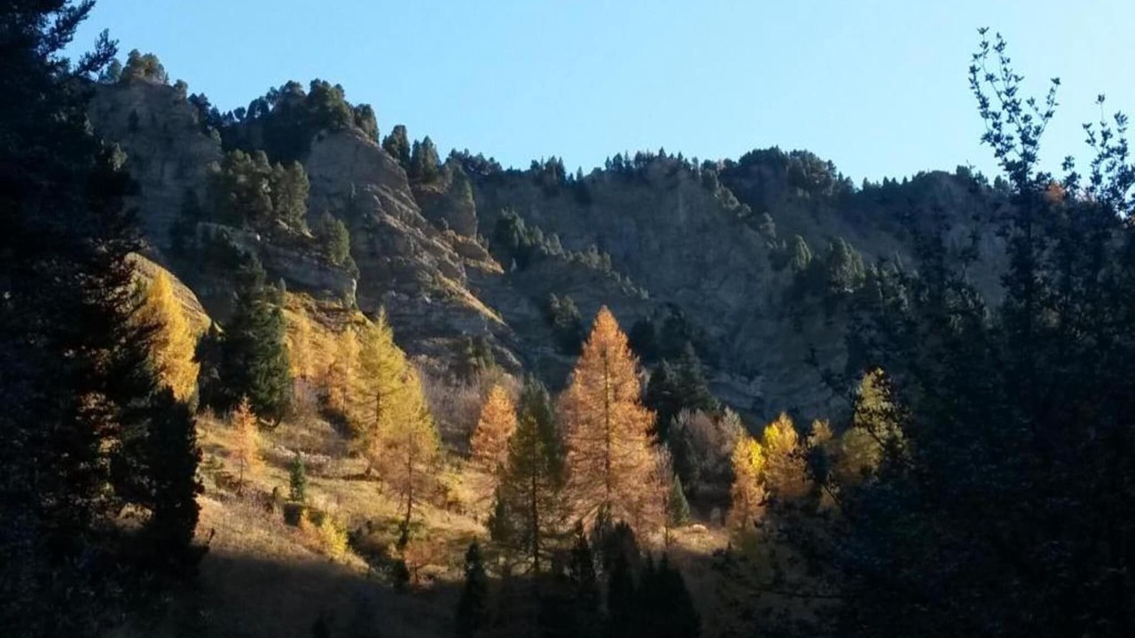 Photo of Others in Gresse-en-Vercors