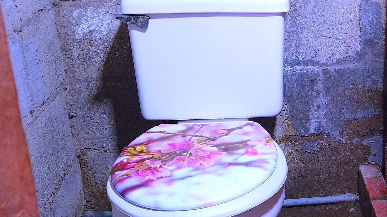 Photo of Bathroom in Tumbaco
