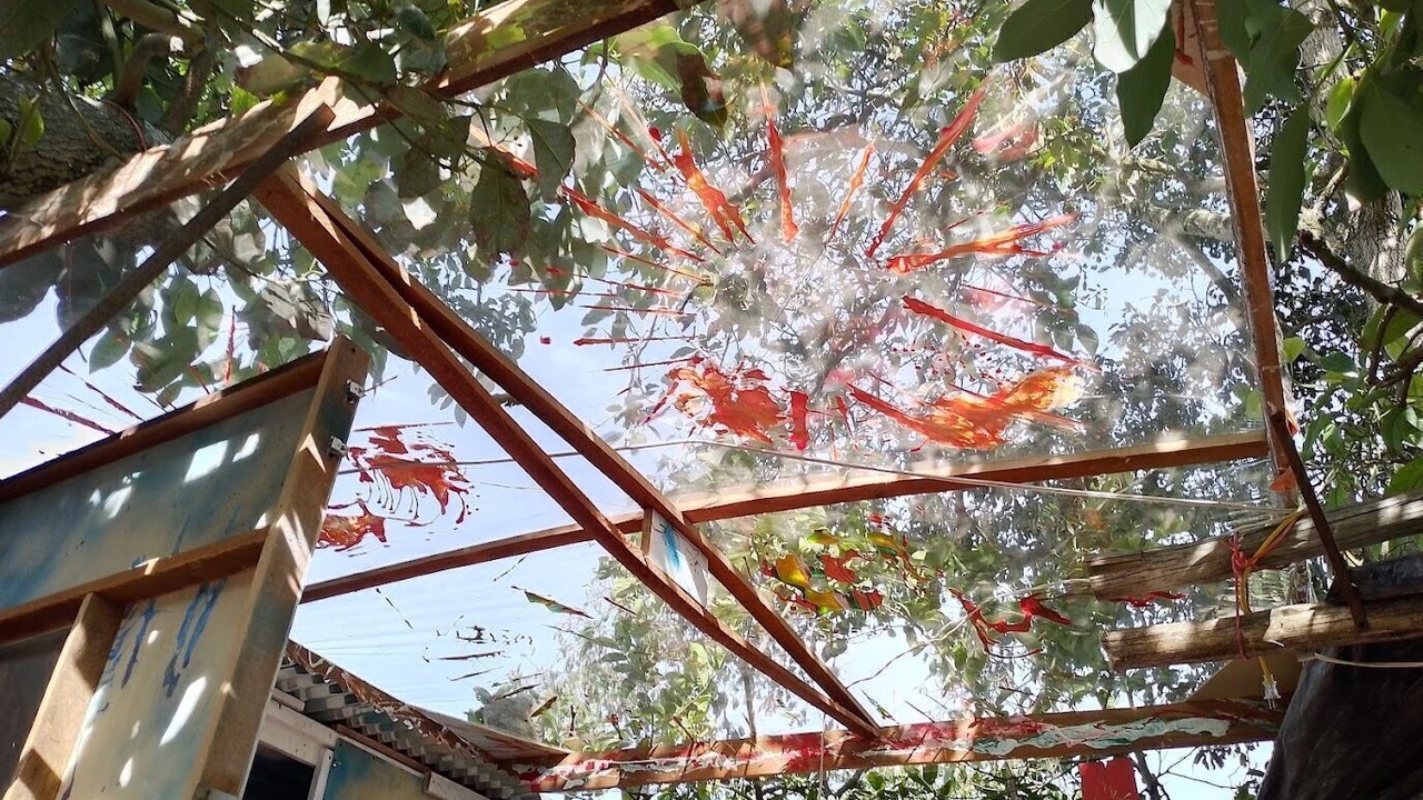 Photo of Outdoor in Tumbaco