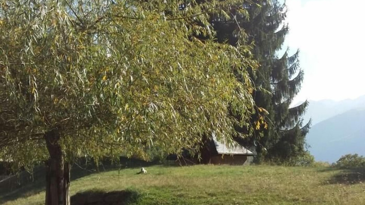 Photo of Outdoor in Cier-de-Luchon