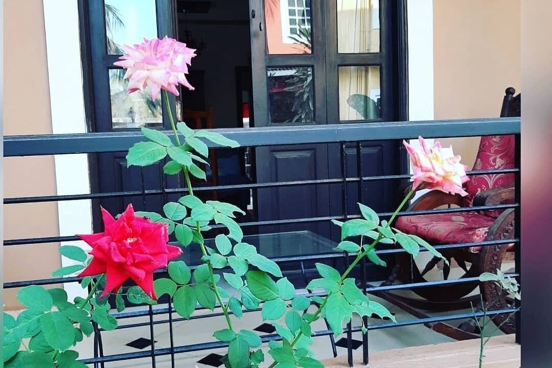 Photo of Outdoor in Calangute