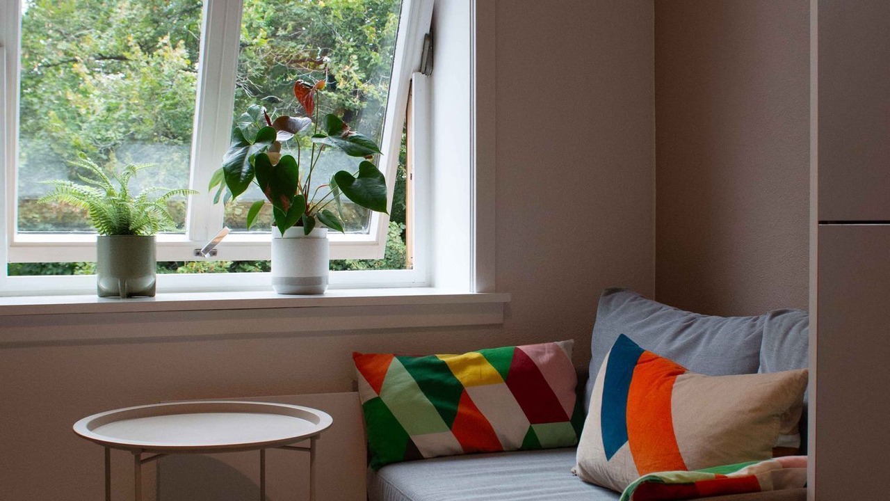 Photo of Livingroom in Toyen