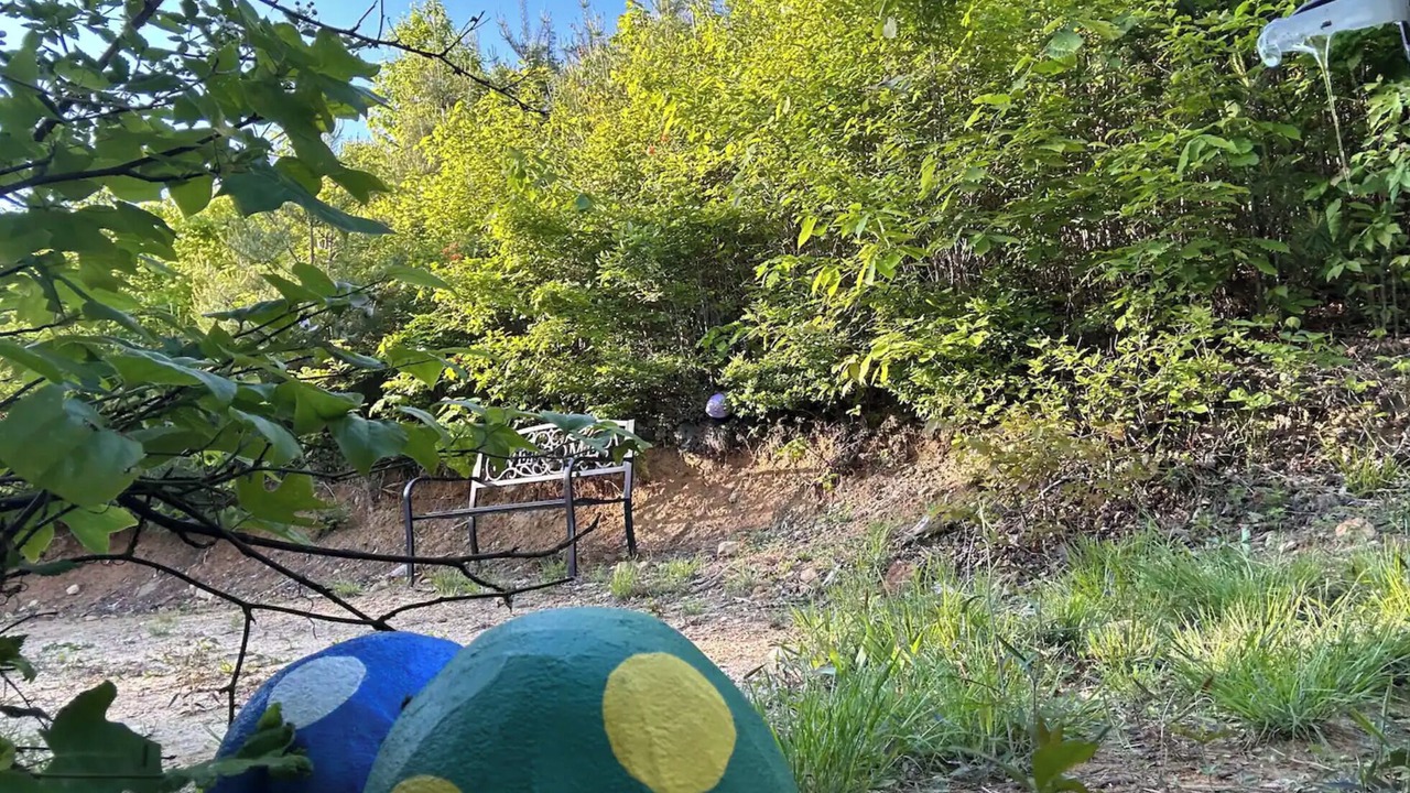 Photo of Outdoor in Cool Ridge