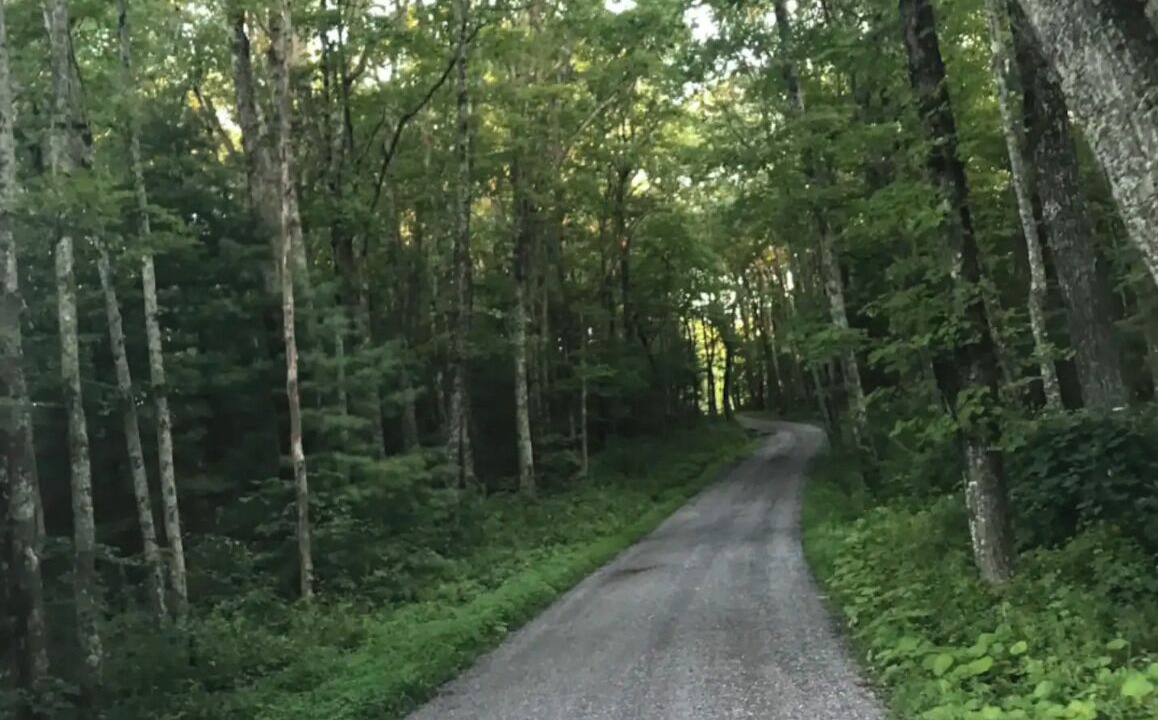 Photo of Others in Cool Ridge