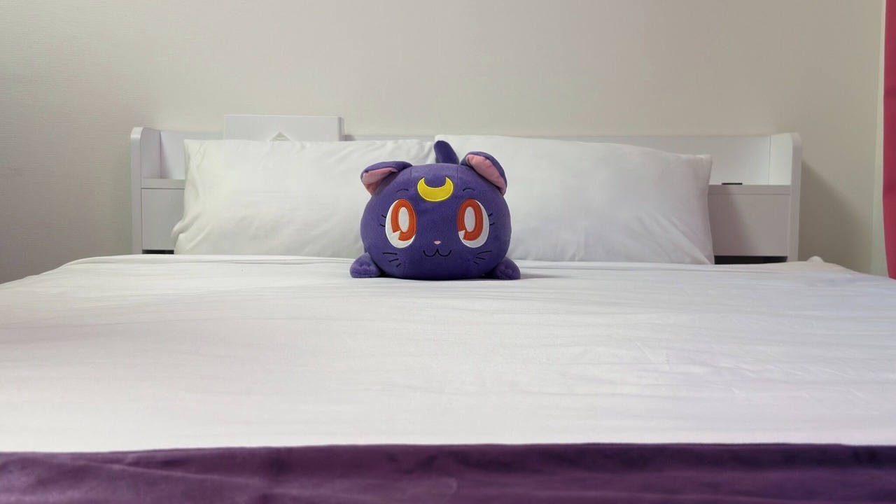Photo of Bedroom in Akasaka