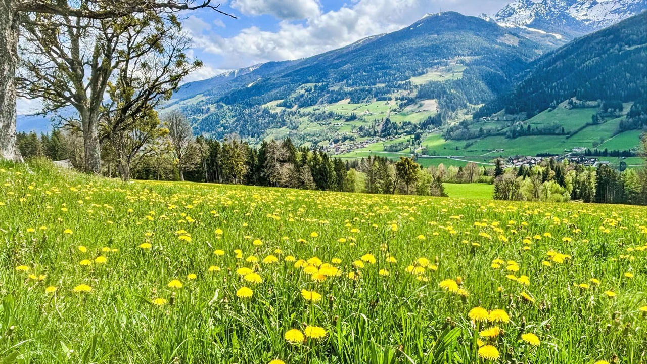 Photo of Others in Ramsau am Dachstein