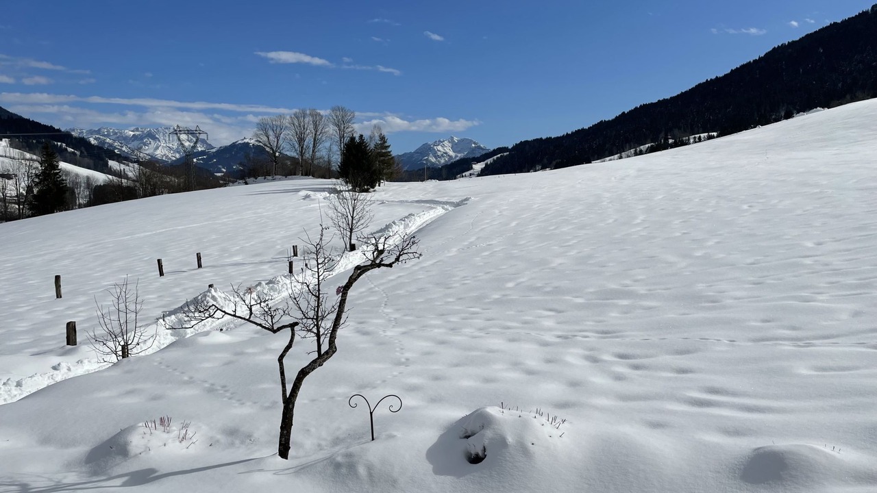 Photo of Others in Altbach