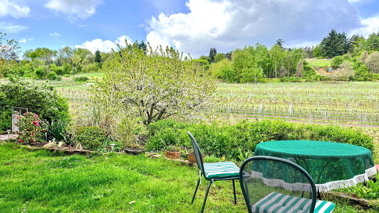 Photo of Outdoor in Bad Duerkheim