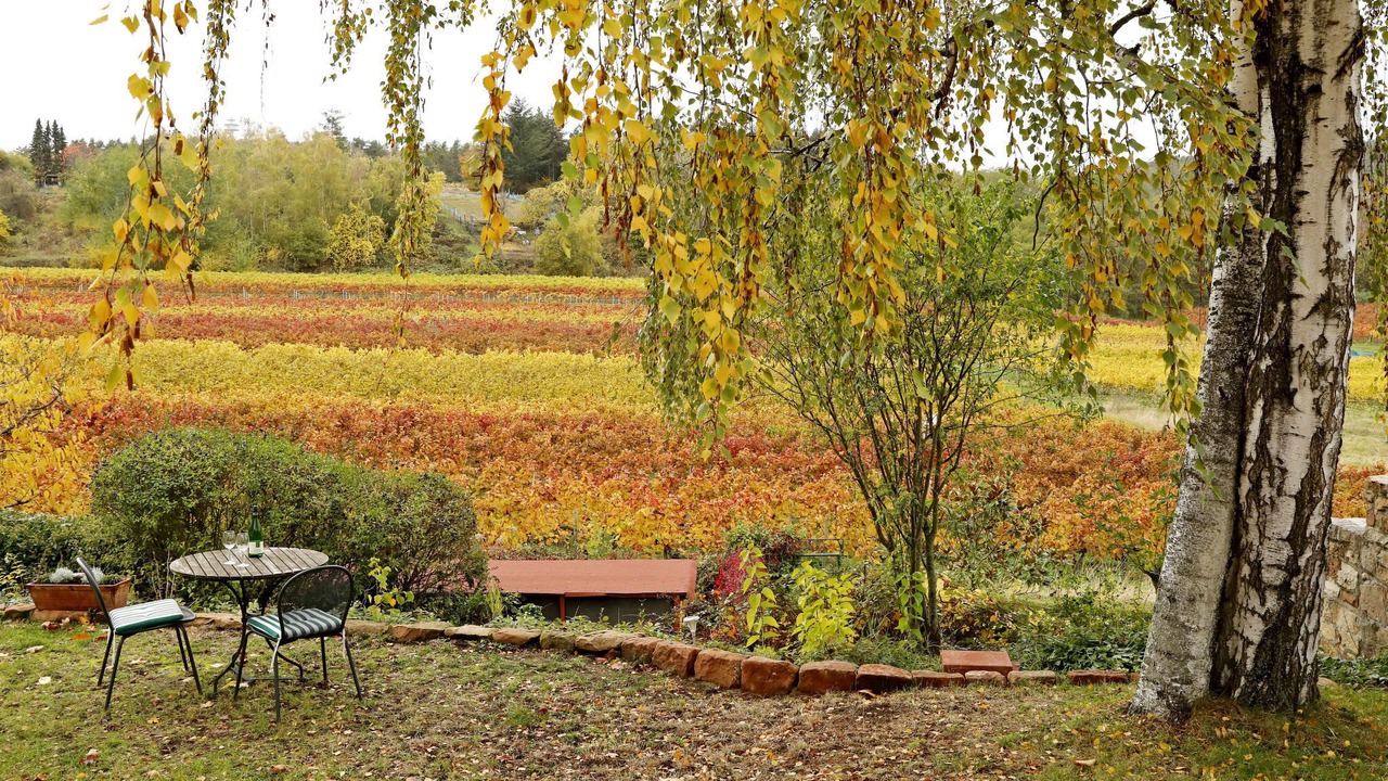 Photo of Outdoor in Bad Duerkheim