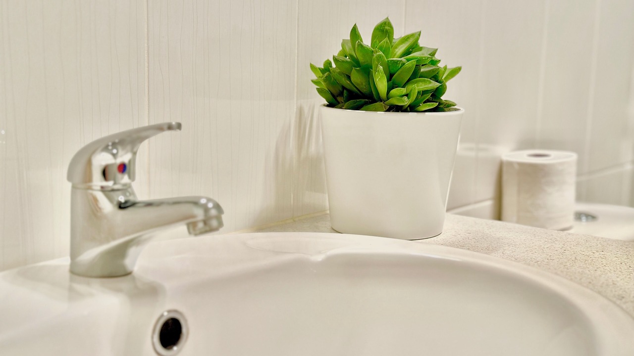 Photo of Bathroom in Lightsview