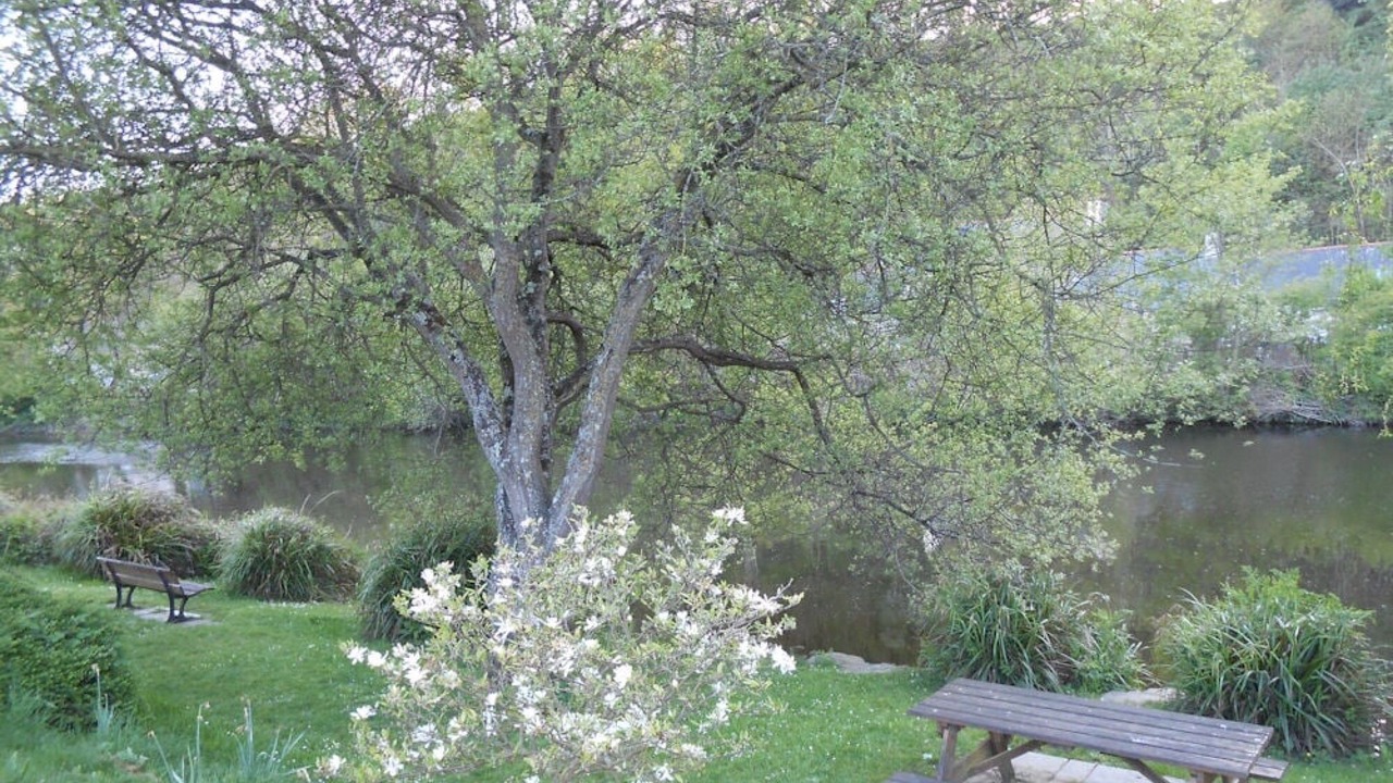 Photo of Outdoor in Pontrieux