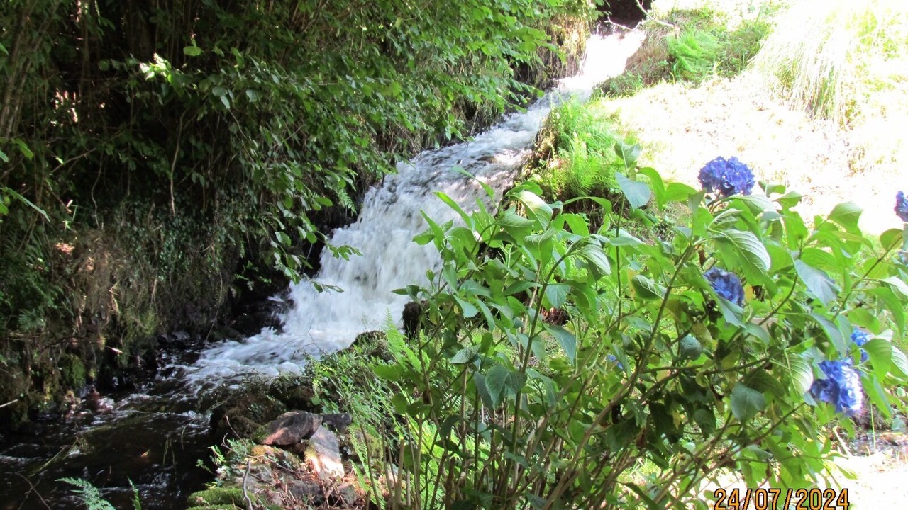 Photo of Outdoor in Elan Limousin Avenir Nature