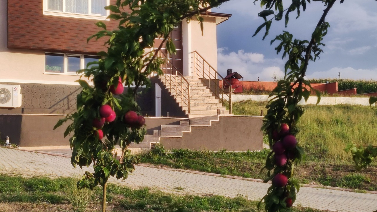 Photo of Outdoor in Bolu