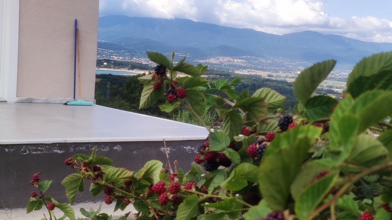 Photo of Outdoor in Bolu