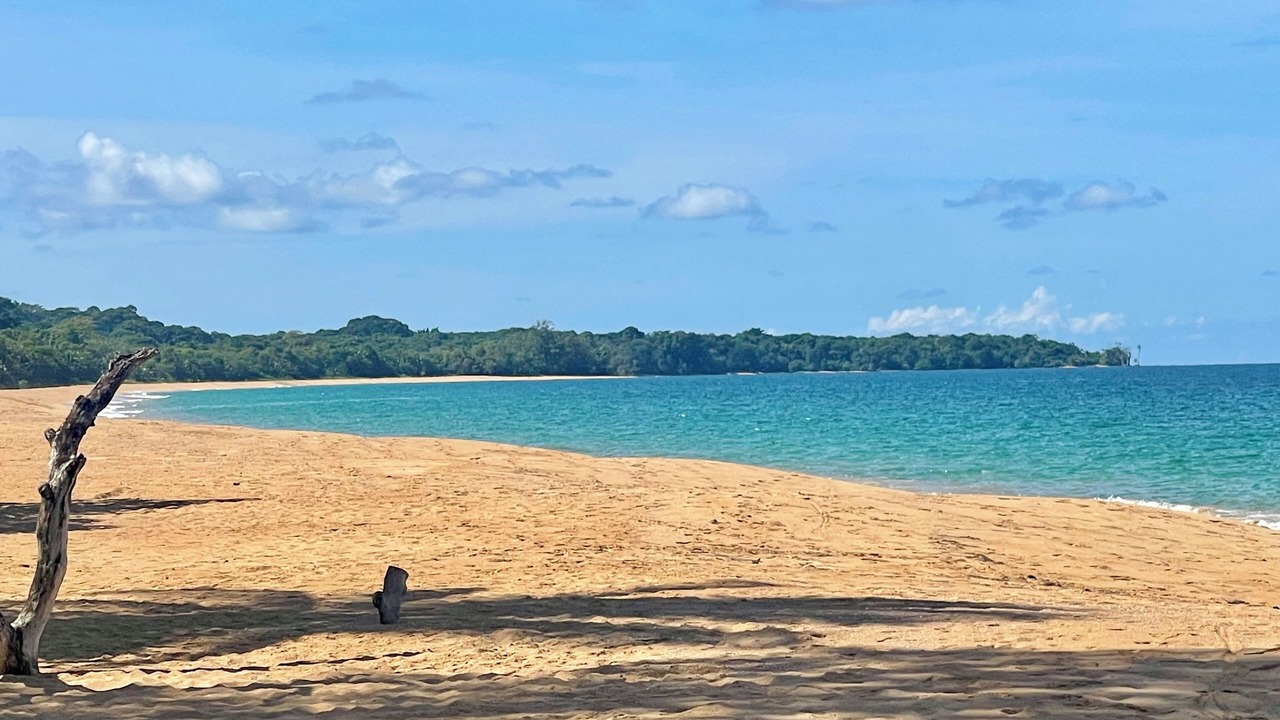 Photo of Others in Bocas del Toro