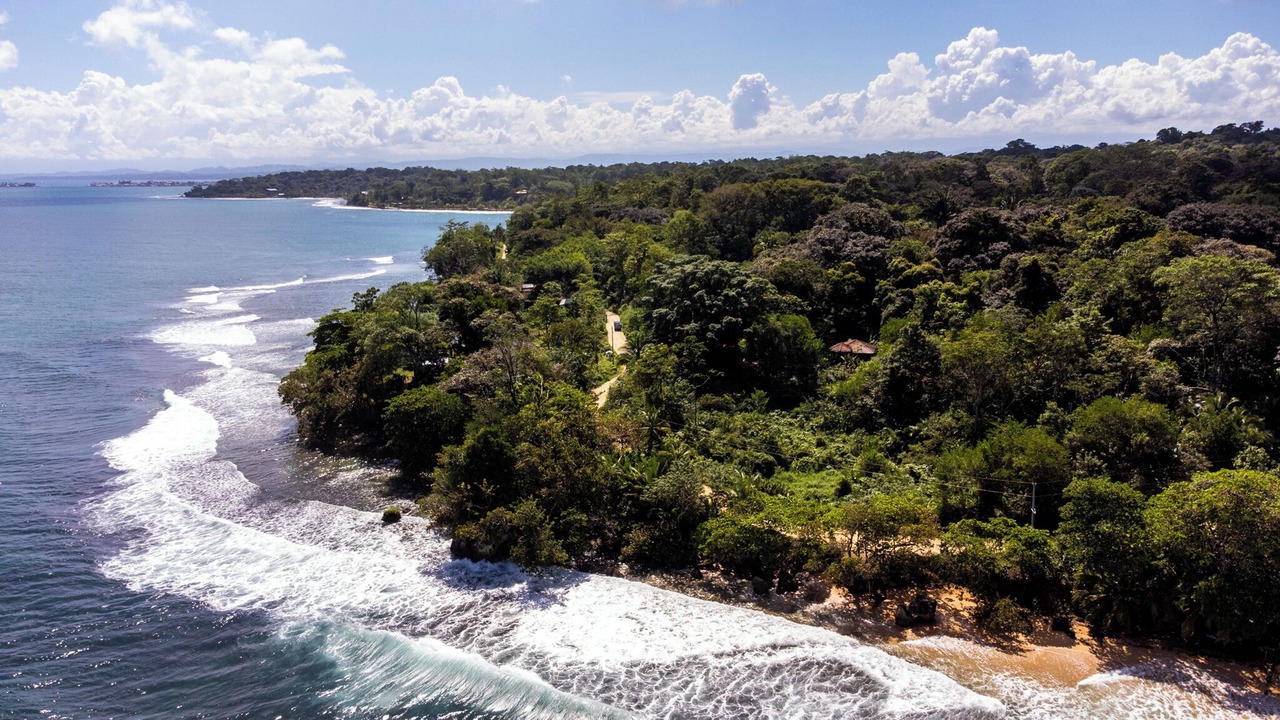 Photo of Others in Bocas del Toro