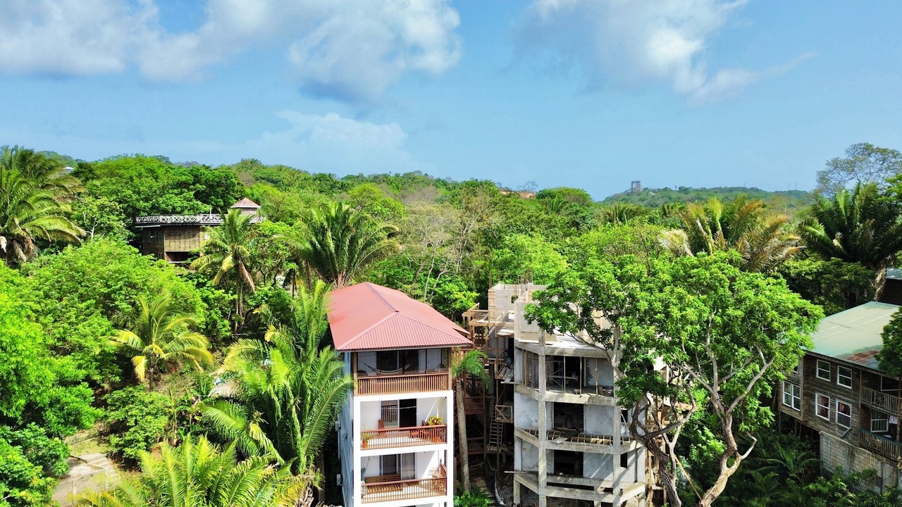 Photo of Outdoor in West End