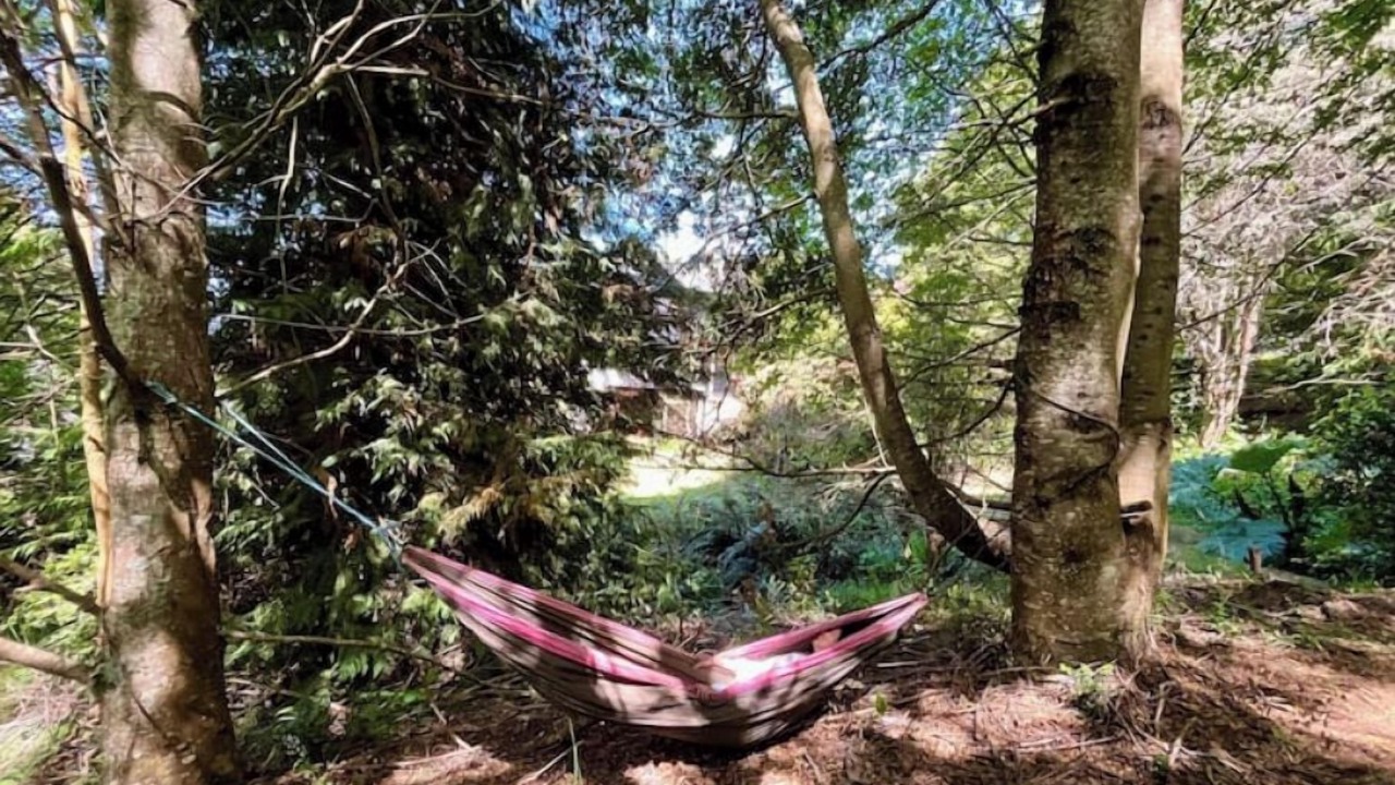 Photo of Outdoor in Puerto Varas