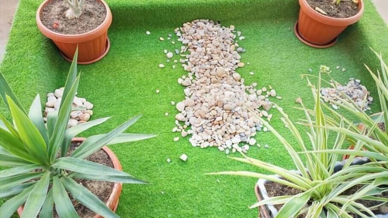 Photo of Outdoor in Yenne Tode