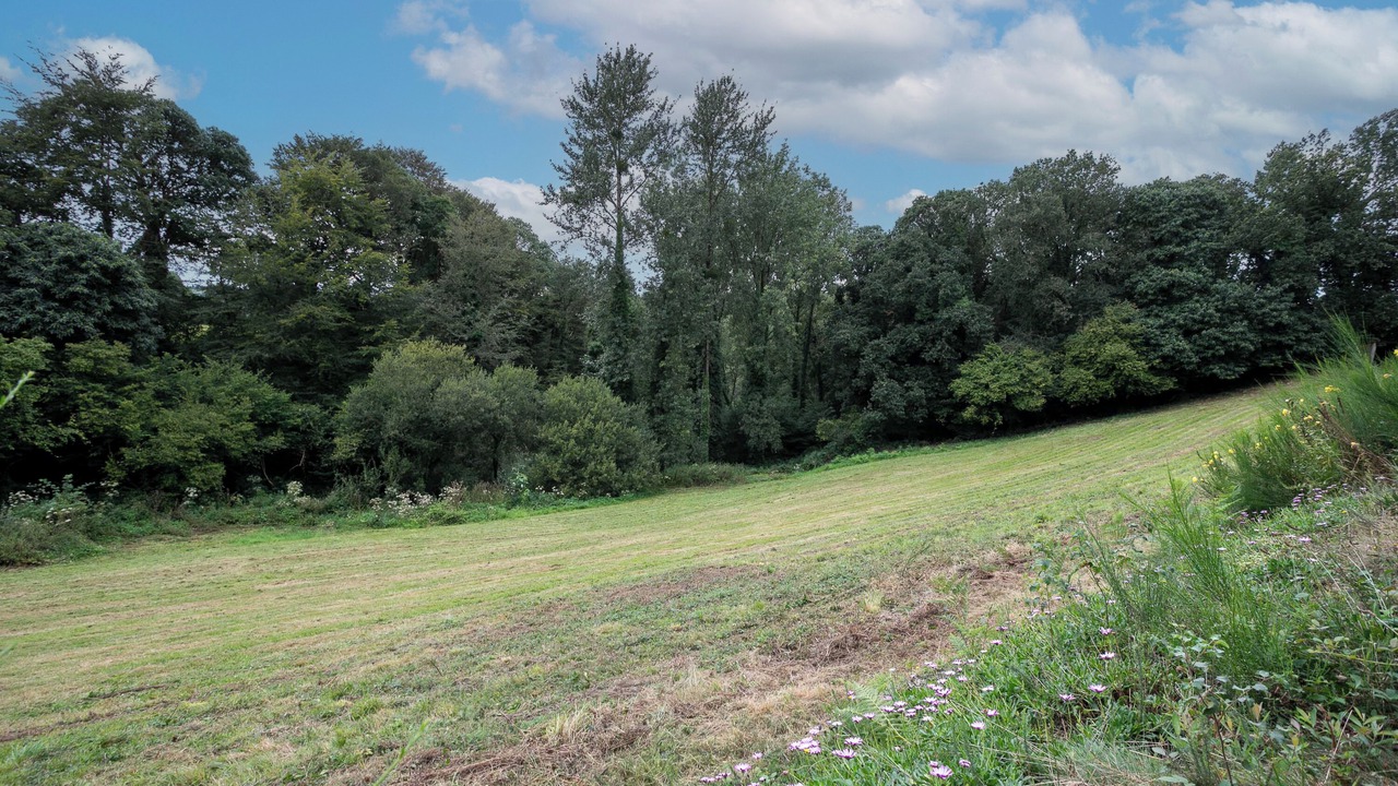 Photo of Others in Plouegat-Moysan