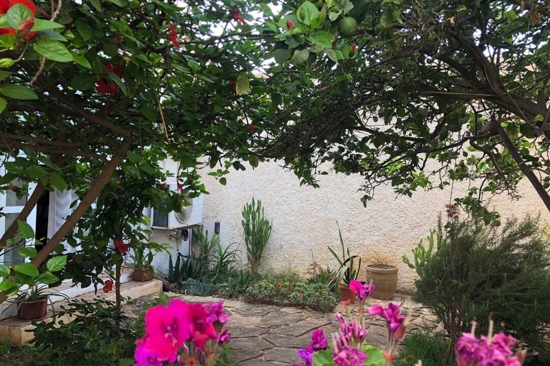 Photo of Outdoor in Ain El Turk