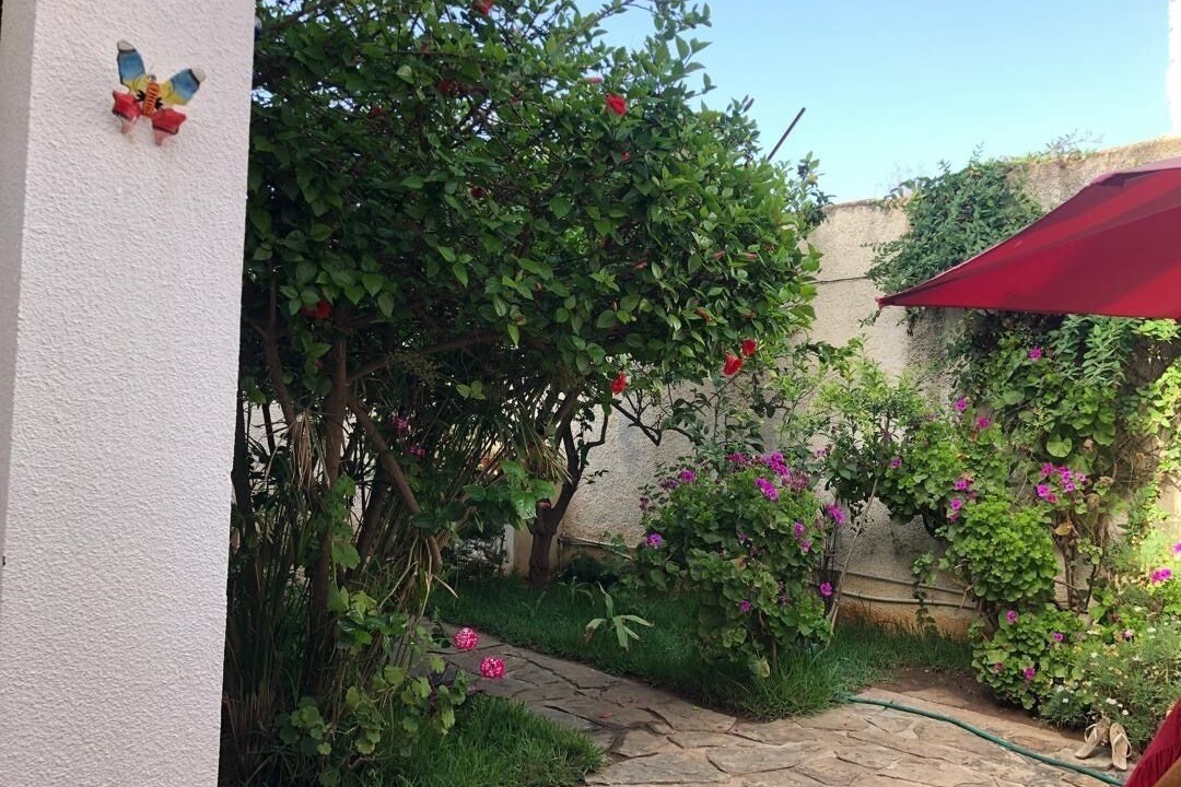 Photo of Outdoor in Ain El Turk