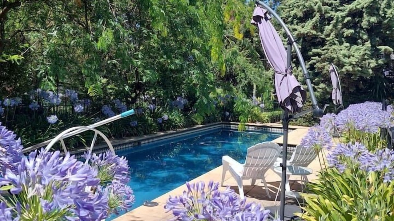 Photo of Outdoor in South Albury