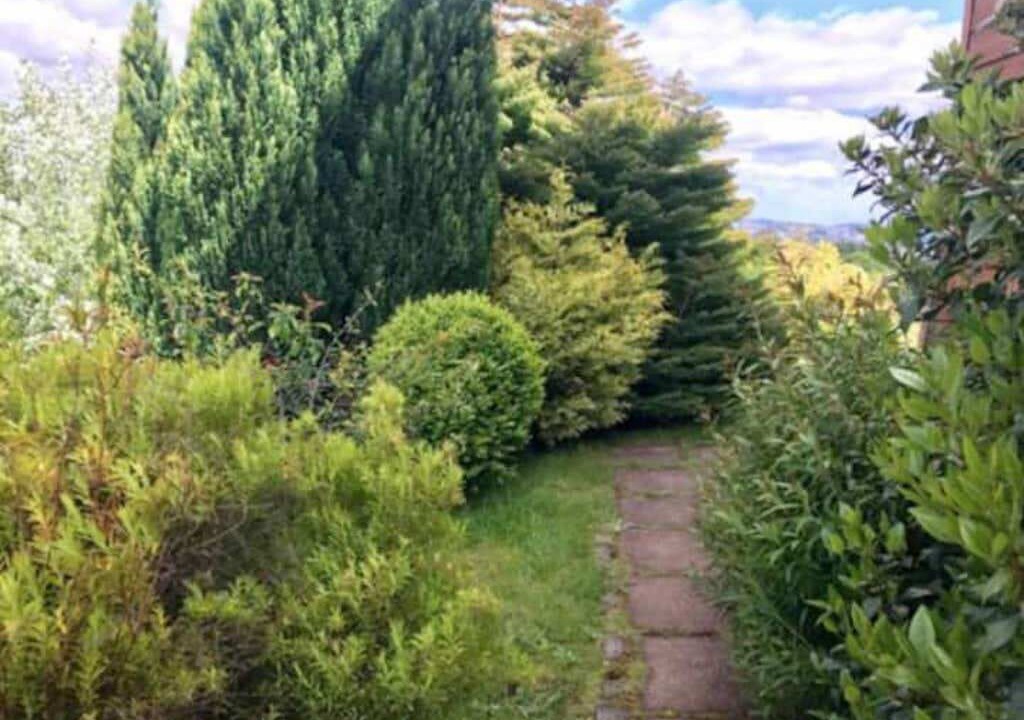 Photo of Outdoor in Puerto Varas