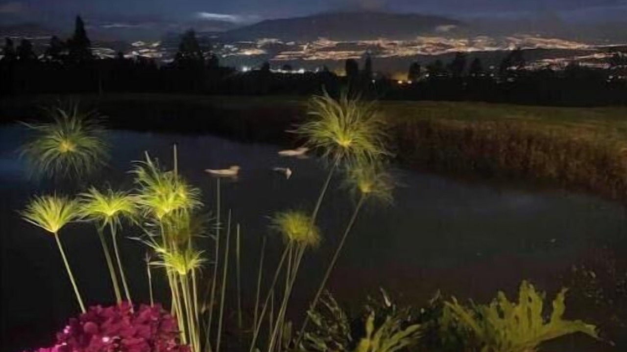 Photo of Outdoor in Puembo