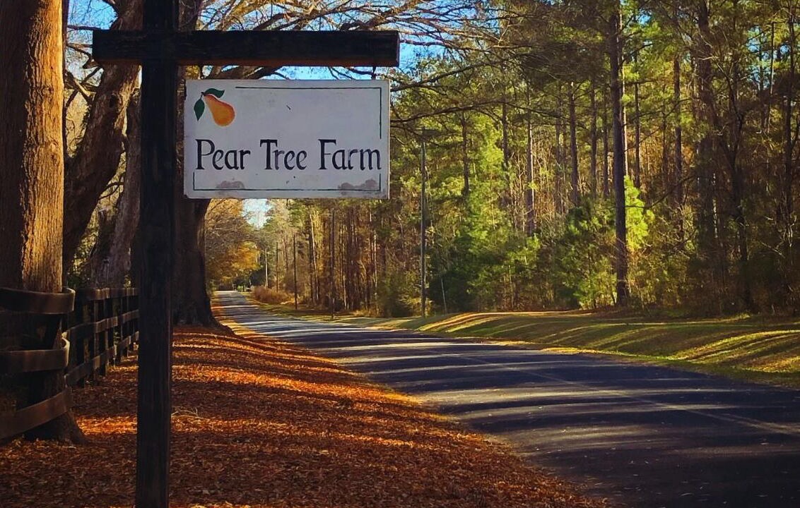 Photo of Others in Kershaw County