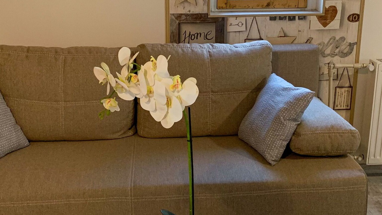Photo of Livingroom in Tihany