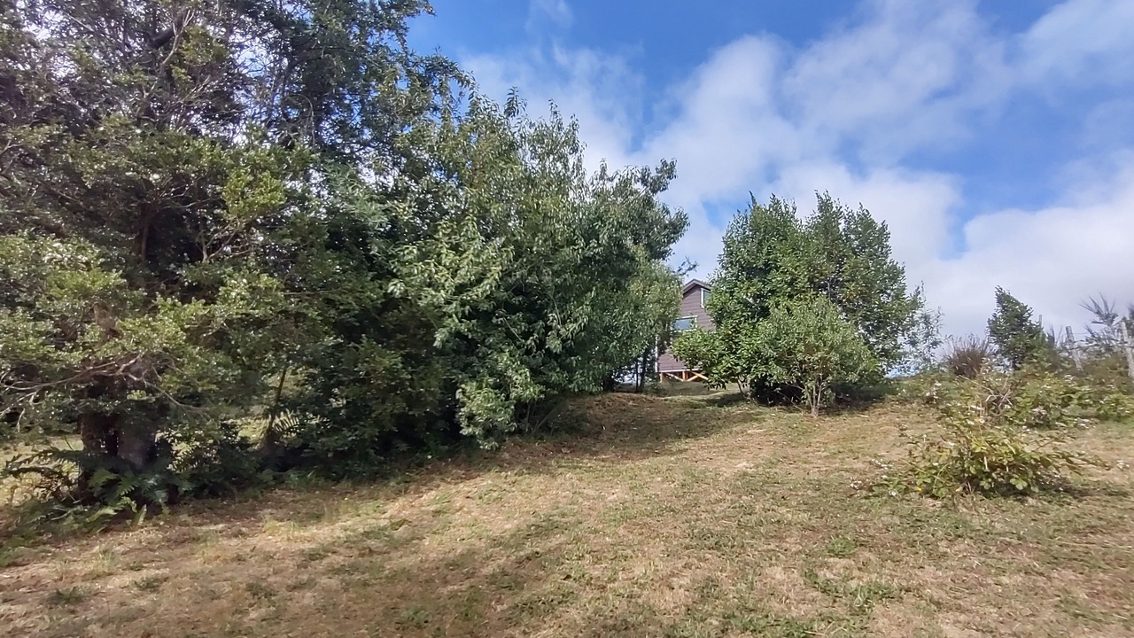 Photo of Outdoor in Castro